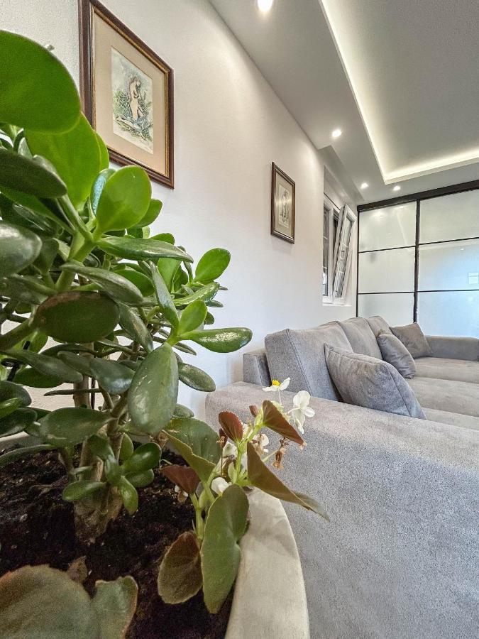 Sunrise Apartment Котор Экстерьер фото